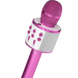 pink microphone 300x300 - The Experience