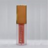 FCSB IKON 1 100x100 - Face Candy Studio Beauty Luminous Lip Gloss